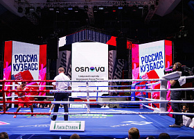 IT-компания Osnova стала цифровым партнером Федерации бокса России