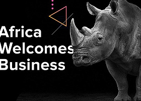 PLUS Consulting проведет серию вебинаров по развитию бизнеса в Африке - присоединяйтесь!